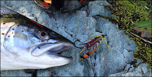 A "kill" with a size 1 Major. Gaula River 2014...