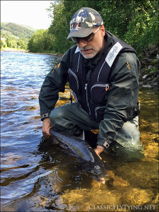 Releasing a beautiful male Salmon. Orkla River, 2015..